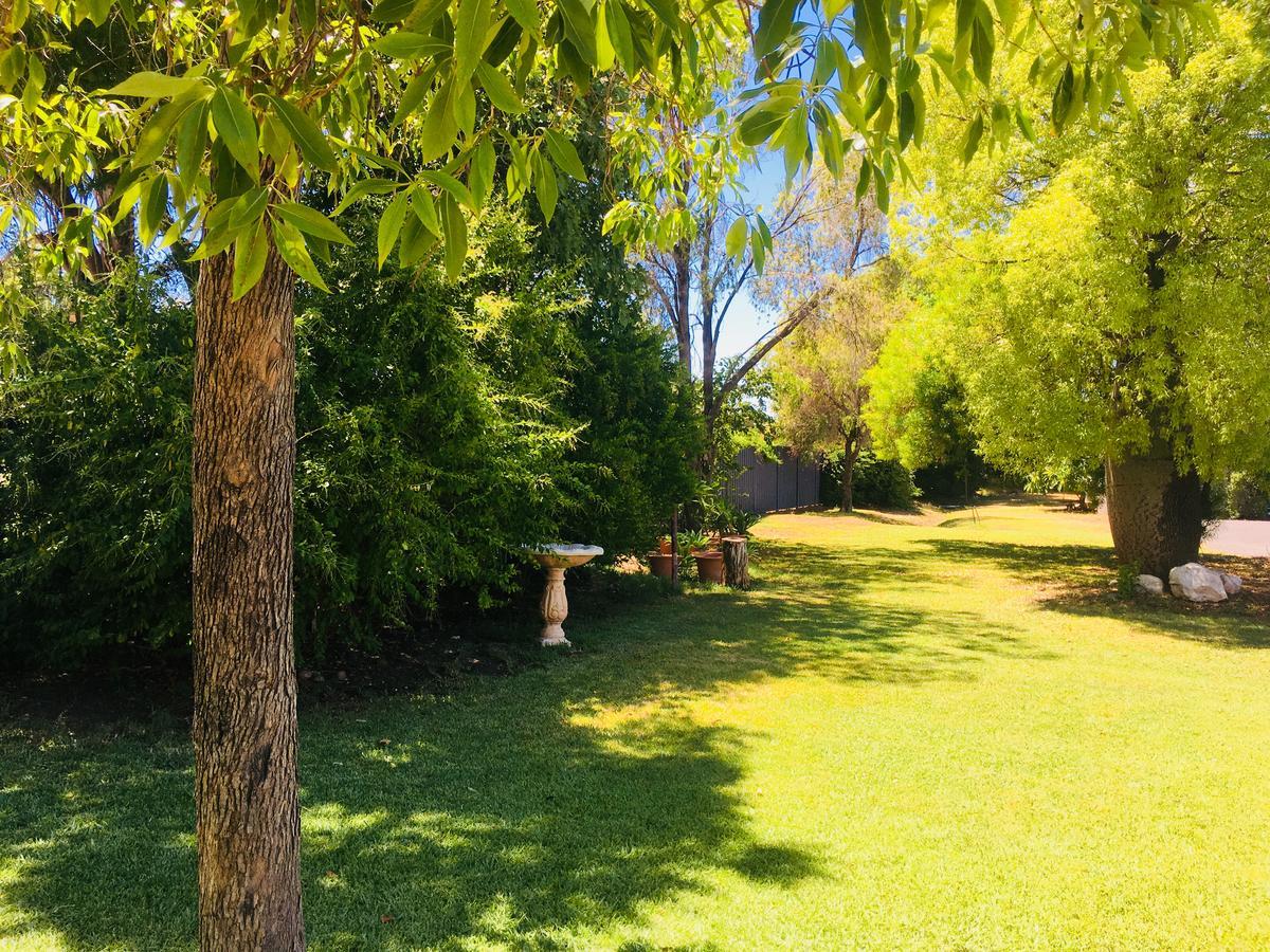 Balonne River Motor Inn Σεντ Τζορτζ Εξωτερικό φωτογραφία